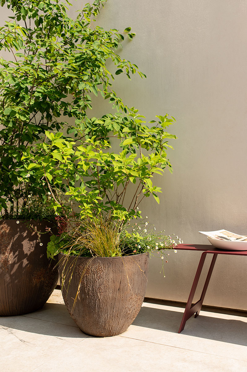 Détail de la terrasse Concorde : plante en pot